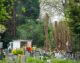 Cemetery trees were felled  because of ‘risk to public’,  says Wiltshire Council