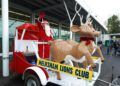 Santa out and about with Lions’ Christmas float