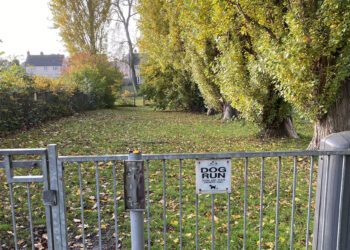 Smaller park dog-run to stay open