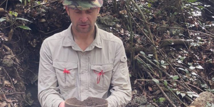 Melksham explorer discovers hidden Mayan city
