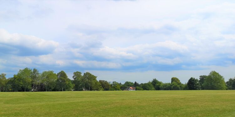 Town council under fire for lack of action in King George V park