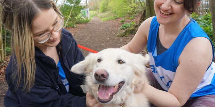 ‘Step Up for Rescue Pets’ this May!