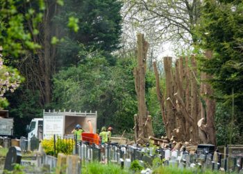 Cemetery trees were felled  because of ‘risk to public’,  says Wiltshire Council