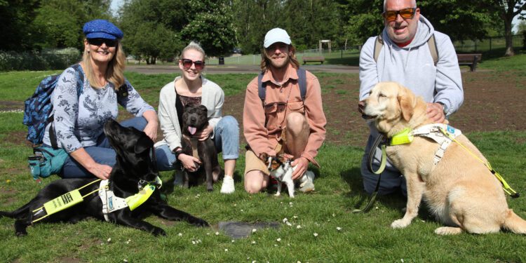 Dog owners call for improvements to park dog area
