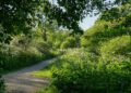 Have you had  your say on future development  in Melksham  and Melksham Without?