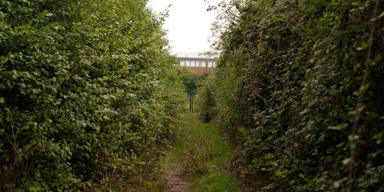 Parish council push for new safe access to Oak School