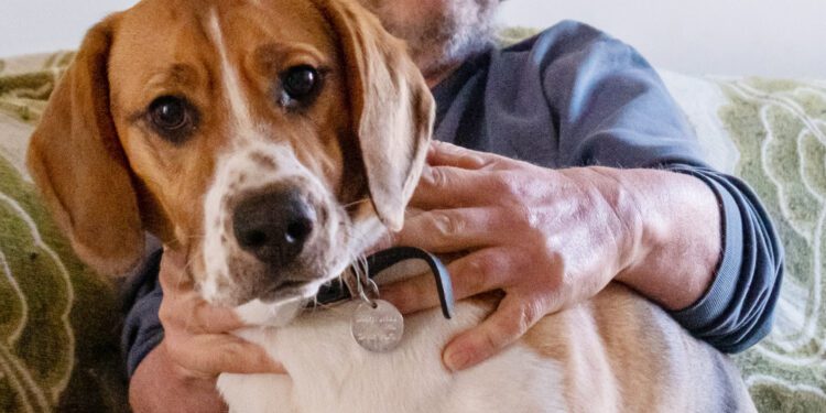 Hero dog praised for saving owner’s life