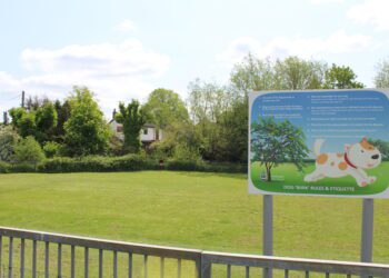 Residents divided over dog park agility equipment spend