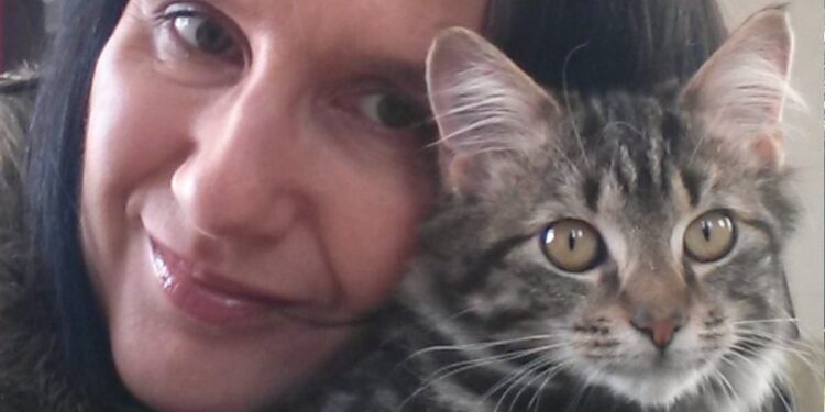 Charity ‘urgently’ appeals for cat fosterers after an influx of abandoned cats and kittens