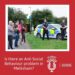 Is there an Anti Social Behaviour problem in Melksham?