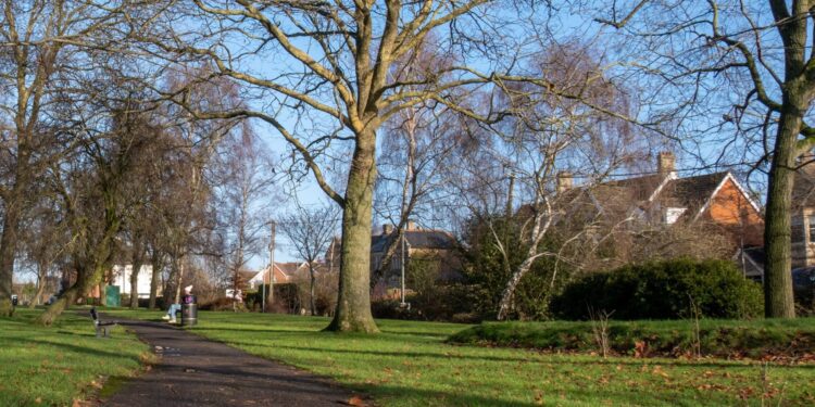 Council votes for Wi-Fi in town park