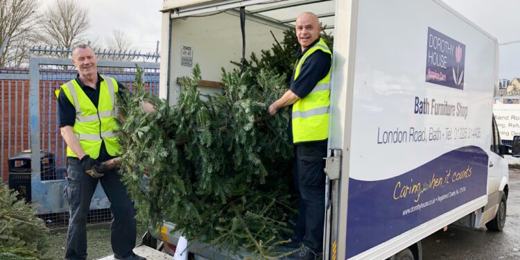 Get your Christmas tree collected for Dorothy House