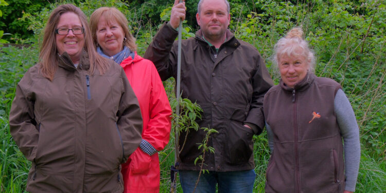 Local nature reserve hit by tree theft