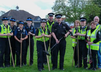 Police sweep finds town park free of weapons