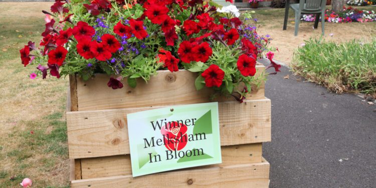 Residents encouraged to clear gutters ahead of Britain in Bloom competition