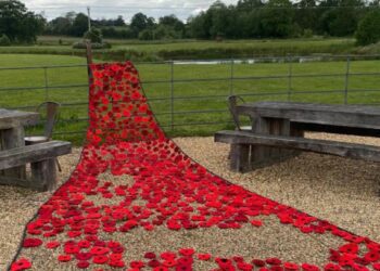 Holt Remembrance project reaches 6,000 poppy milestone