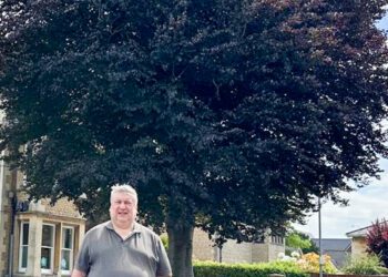 Iconic trees saved for future generations