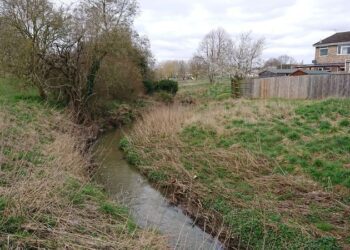 Improvement plans for Clackers Brook