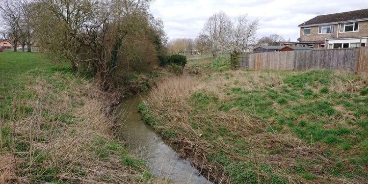 Improvement plans for Clackers Brook