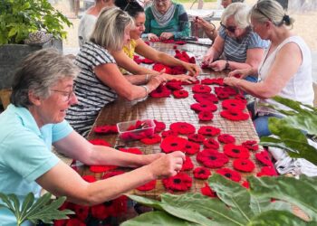 Poppy cascade to adorn St. Katherine’s Church