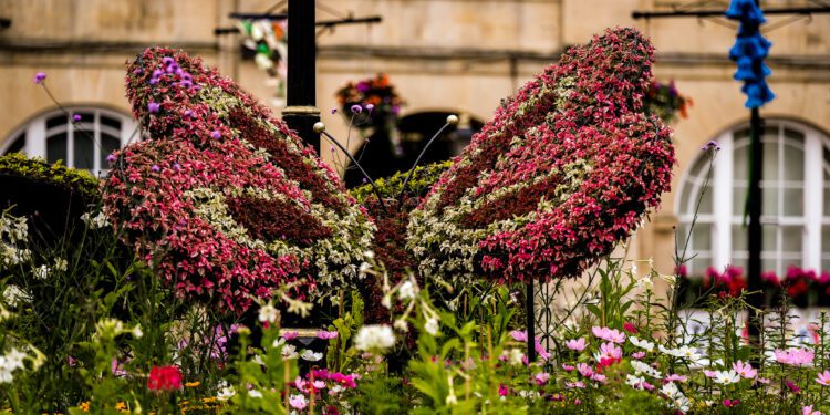 Melksham’s blooming efforts await judgment result