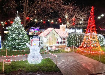 Festive fundraiser at Sarum Avenue in full swing