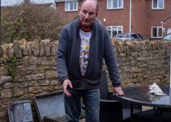Two ‘big cat’ sightings reported in Melksham