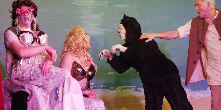 Sell-out success for village panto’s recent production