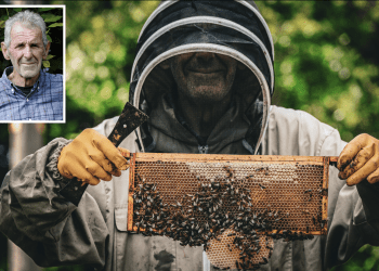 Local man offers ‘free-bee’ collection