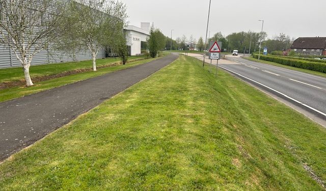 ‘Wildlife habitat damaged’ says resident over local grass cutting