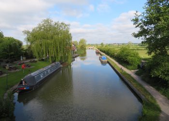 Public warning after bird flu detected in Seend