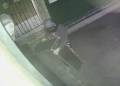 Appeal for information after theft of bowls club’s disability ramps