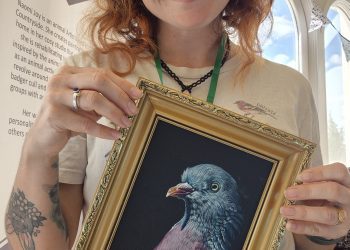 Artist shares beauty of ‘unloved’ creatures in new exhibition