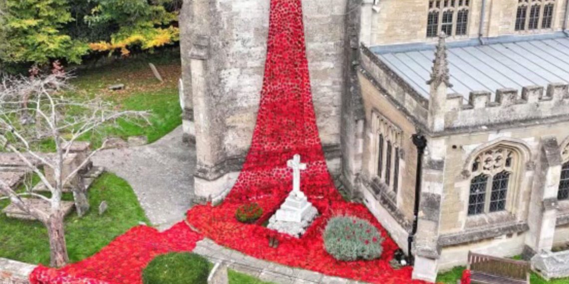 Holt crafters plan new Poppy Cascade and 15ft Christmas tree