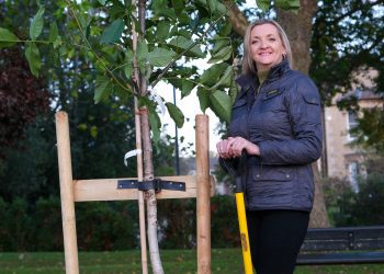 Newly planted walnut tree celebrates international links