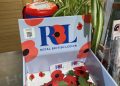 Melksham’s Poppy Appeal to launch this month
