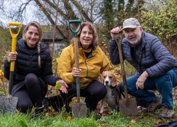 Help create new woodland at tree planting day