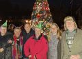 Holt villagers display handmade Christmas trees for charity