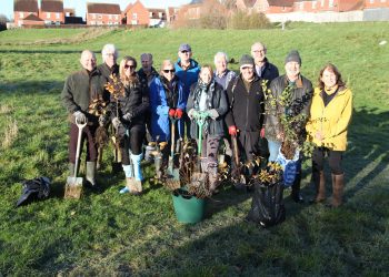 Over 400 trees planted for new community woodland