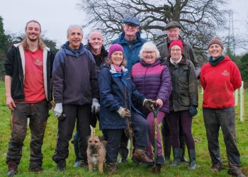 Community woodland planted at local meadow