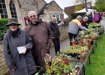 Plant sale returns to Whitley