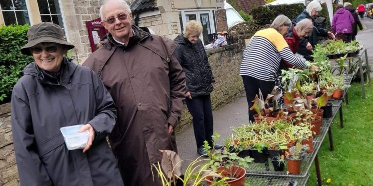 Plant sale returns to Whitley