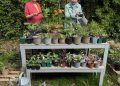 Community plant sale set to help local gardening charity bloom
