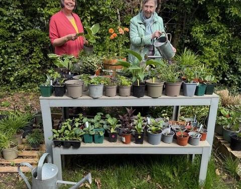 Community plant sale set to help local gardening charity bloom