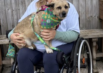 Melksham woman completes 60-mile challenge in  memory of friend