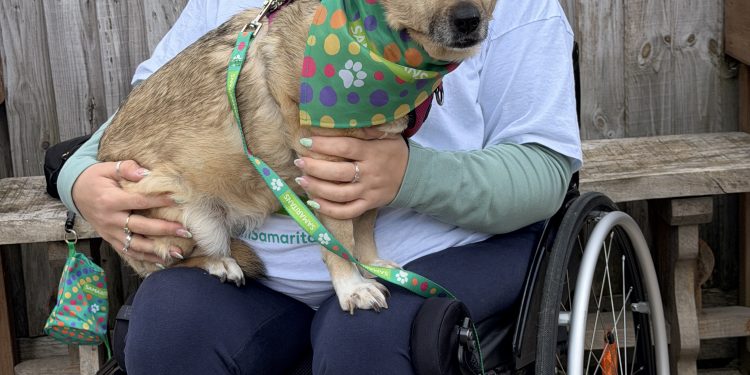 Melksham woman completes 60-mile challenge in  memory of friend