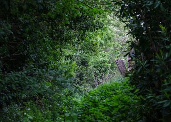 Pathway in Melksham East could be removed