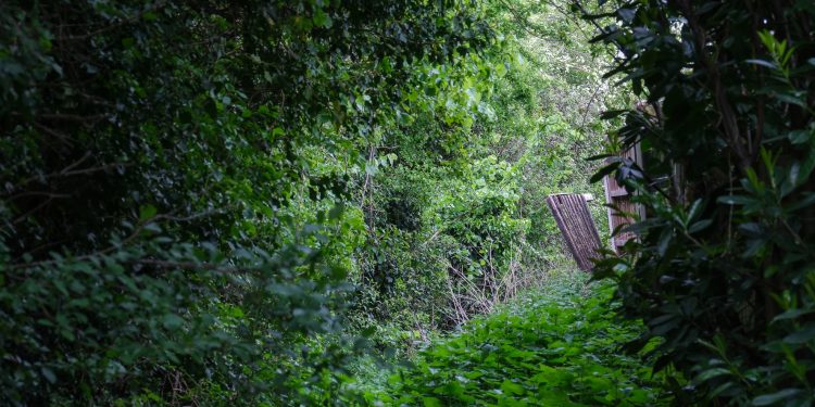 Pathway in Melksham East could be removed
