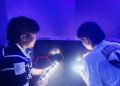 Lazer Storm celebrates first year of action-packed fun
