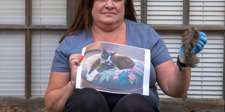 Police investigate after cat’s tail found in garden